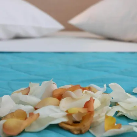 G92 Otel Rhodes City