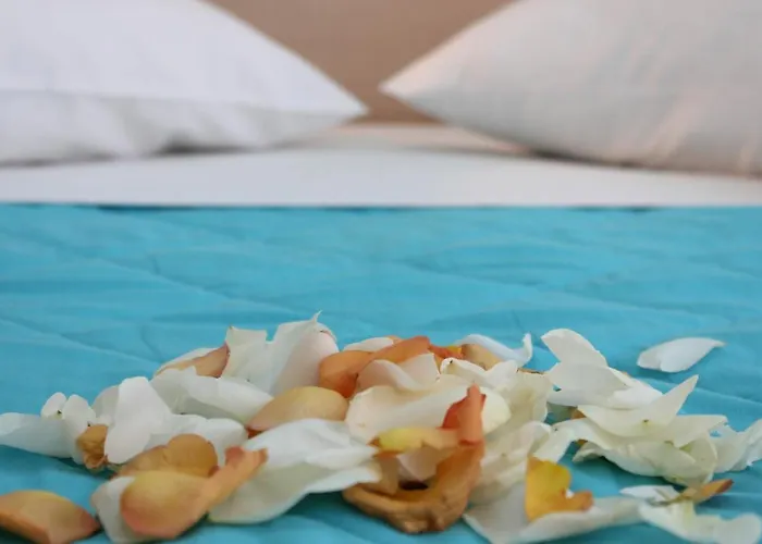 G92 Otel Rhodes City